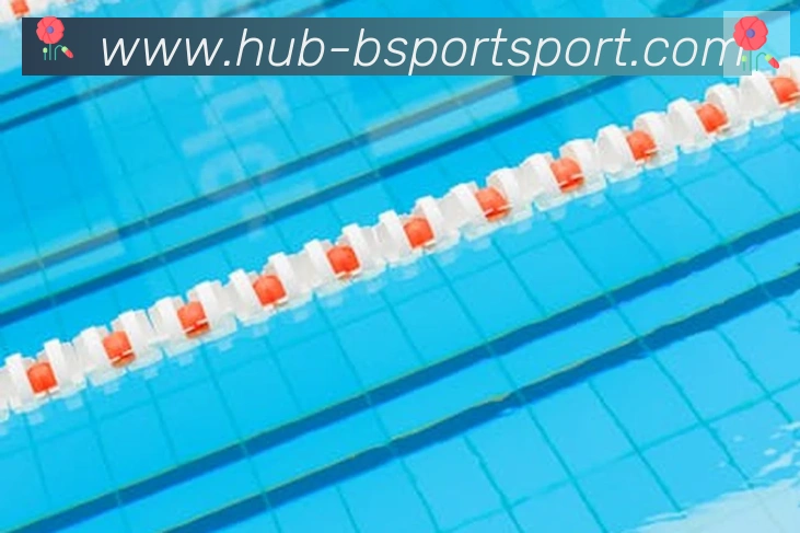 Bsports官网APP 封面图