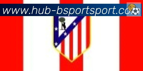 Bsports官网合作伙伴